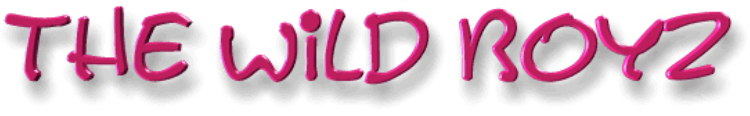 WB logo 2